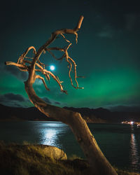 Scenic view of lake against sky at night