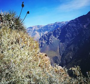 Scenic view of mountains against sky