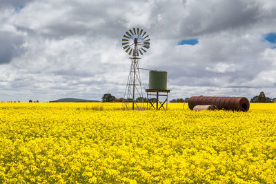 Scenic view of oilseed rape field against sky