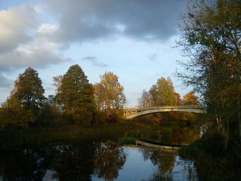 Reflection of trees on river during autumn