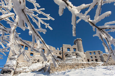 Low angle view of frozen trees against blue sky