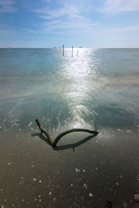 View of crab on beach