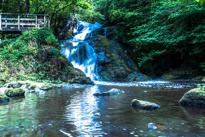 Scenic view of waterfall in forest