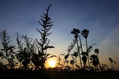 Low angle view of silhouette trees against sky during sunset