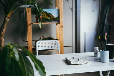 Potted plants on table at home