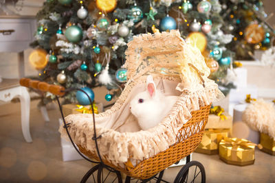 A white rabbit sits inside a retro baby stroller for dolls. christmas vintage decor, 