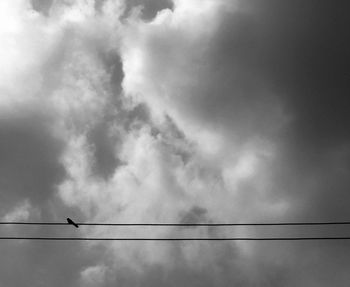 Low angle view of birds perching on cable against sky