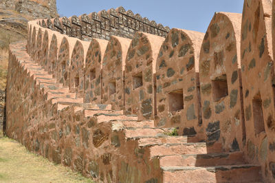 View of cactus