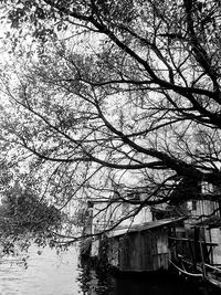 Bare tree by lake against sky