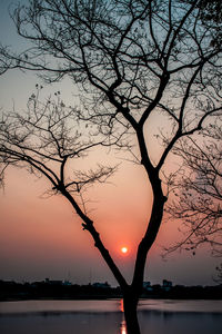 Silhouette bare tree by lake against sky during sunset