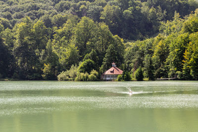 Scenic view of lake by trees and house in forest