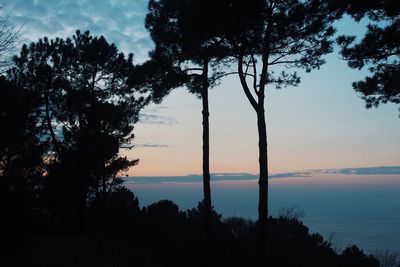 Silhouette trees against sky during sunset