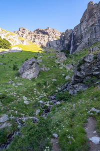 Plants growing on rocks against sky