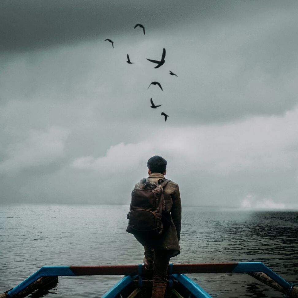 sea, sky, horizon over water, water, cloud - sky, bird, scenics, cloudy, cloud, nature, tranquility, beauty in nature, lifestyles, rear view, tranquil scene, men, nautical vessel, railing