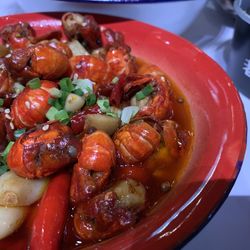 High angle view of meal served in plate