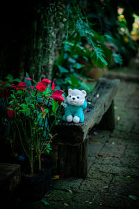 Close-up of stuffed toy on wood