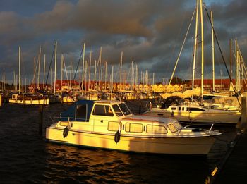 Boats moored at harbor