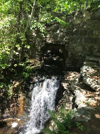 Scenic view of waterfall in forest