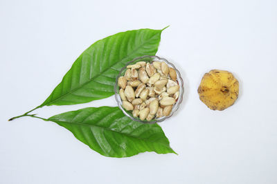 Directly above shot of fruits and leaves against white background
