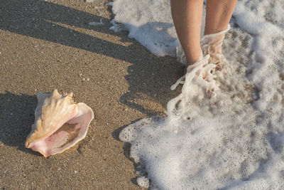 Low section of person on sand at beach