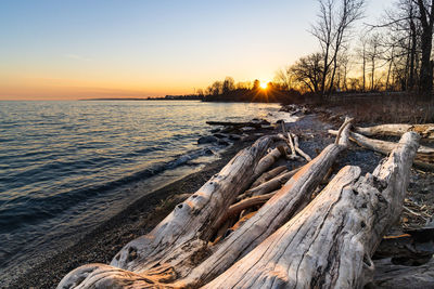 Scenic view of driftwood against sky during sunset