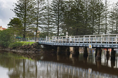Bridge over river in forest
