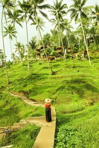 Man walking on footpath by palm trees on field