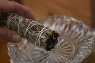 Cropped hand of person holding white sage stick