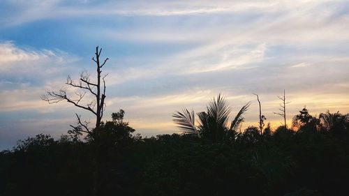 Silhouette trees on landscape against sky