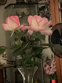 Close-up of pink roses in vase at home