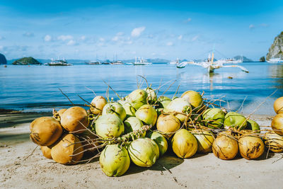 Close-up of fruits in sea against sky