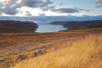 Sunset over grassy hills in nordkapp, norway