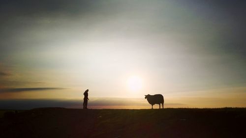 Silhouette of sheep and people at sunset