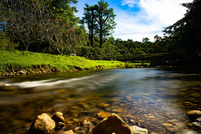 Scenic view of river amidst trees against sky