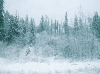 Scenic view of snow covered land