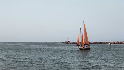 Sailboat sailing on sea against clear sky