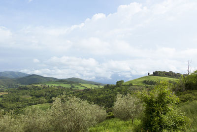 Scenic view of landscape against sky