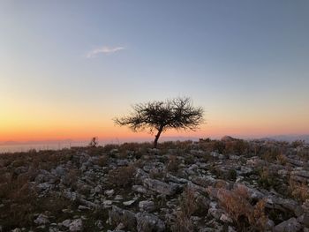 Scenic view of landscape against clear sky at sunset