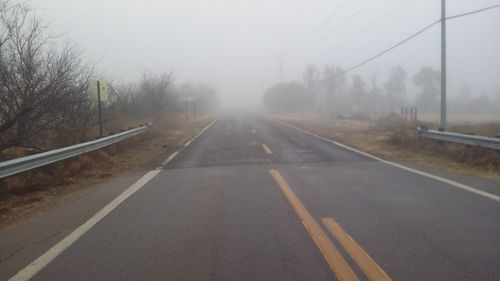 Empty road along trees