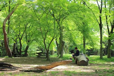 Man sitting on tree trunk in forest