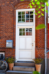 Potted plants on wall of building