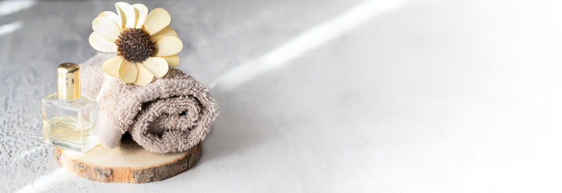 High angle view of white rose on table