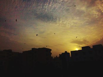 Low angle view of silhouette birds flying in sky