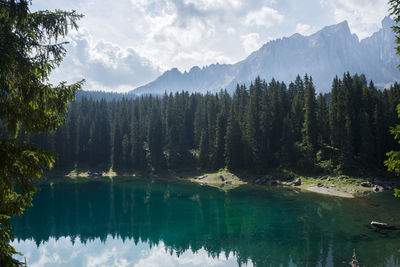 Scenic view of lake by trees against sky