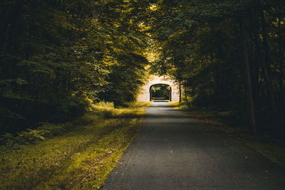 Empty road amidst trees in forest