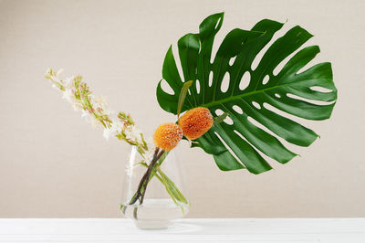 Close-up of vase on table against white background