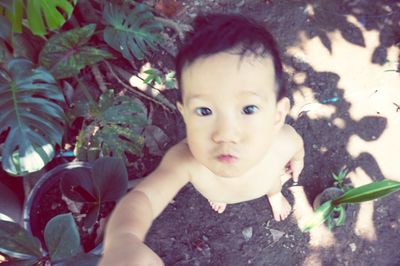 Close-up portrait of cute baby