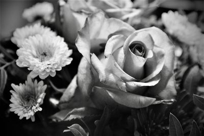 Close-up of rose bouquet