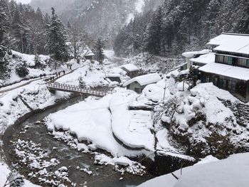 High angle view of snow covered land and trees