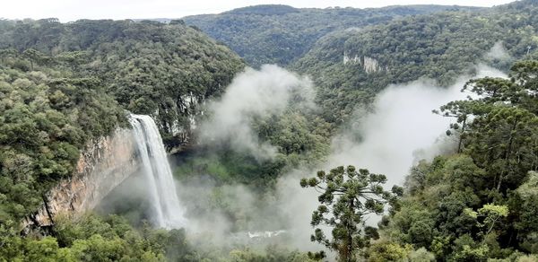 Scenic view of waterfall